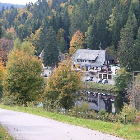 Klosterweiherhof Dachsberg im Schwarzwald Buitenkant foto